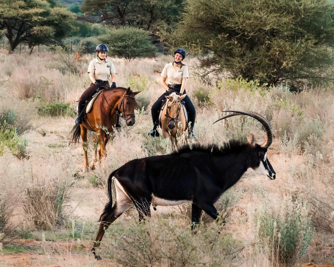 Gabus Safari Lodge Otavi Ngoại thất bức ảnh