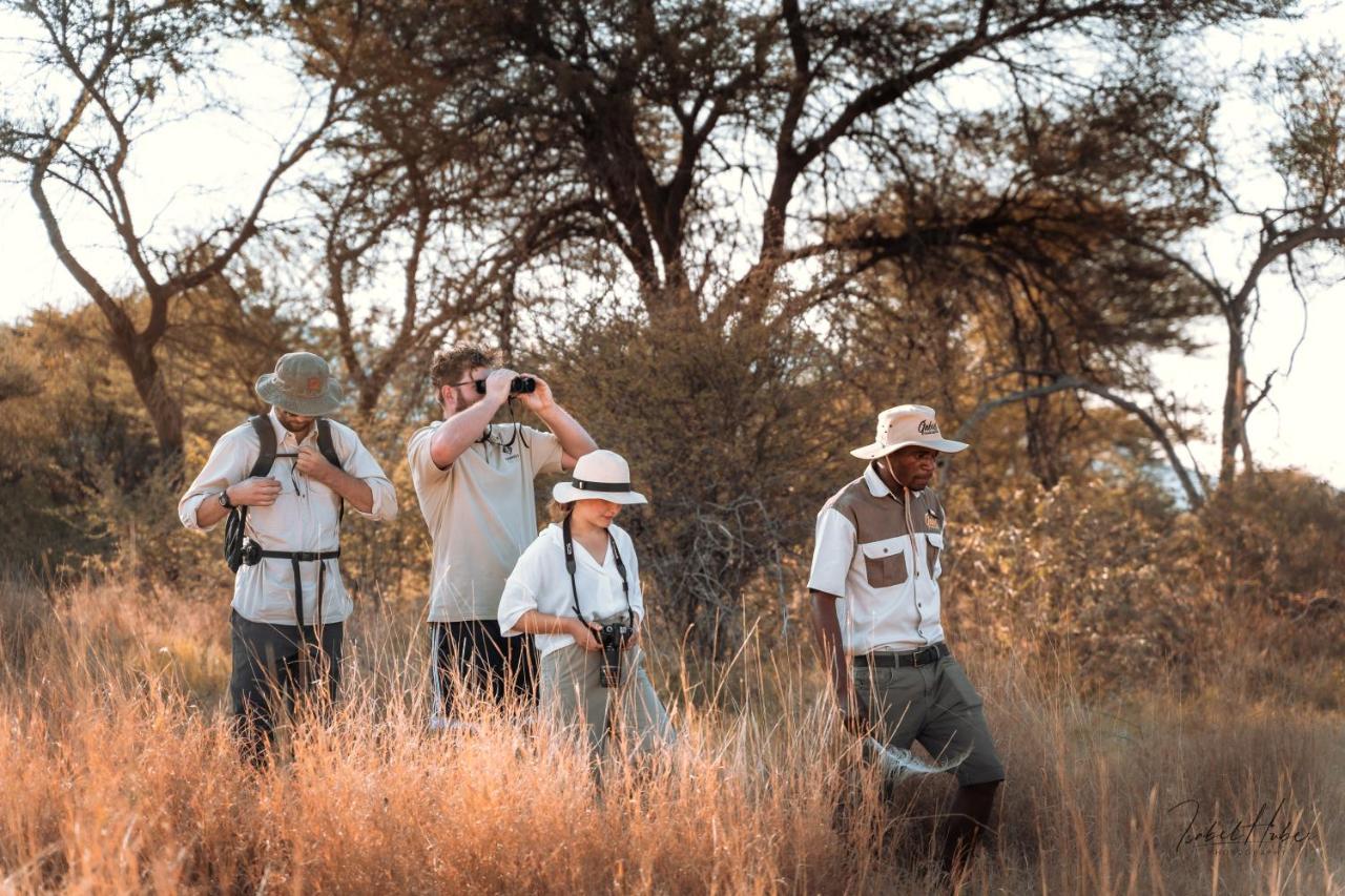 Gabus Safari Lodge Otavi Ngoại thất bức ảnh